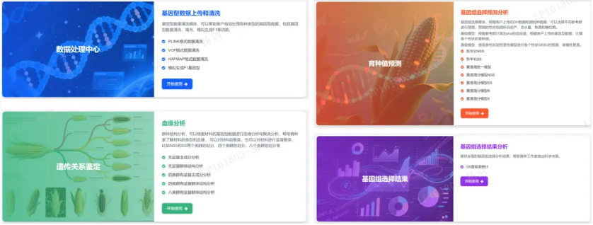 qq20250926-094821.png